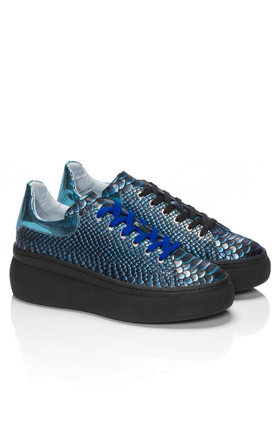 RONDINE PITONE CELESTE *LIMITED EDITION*